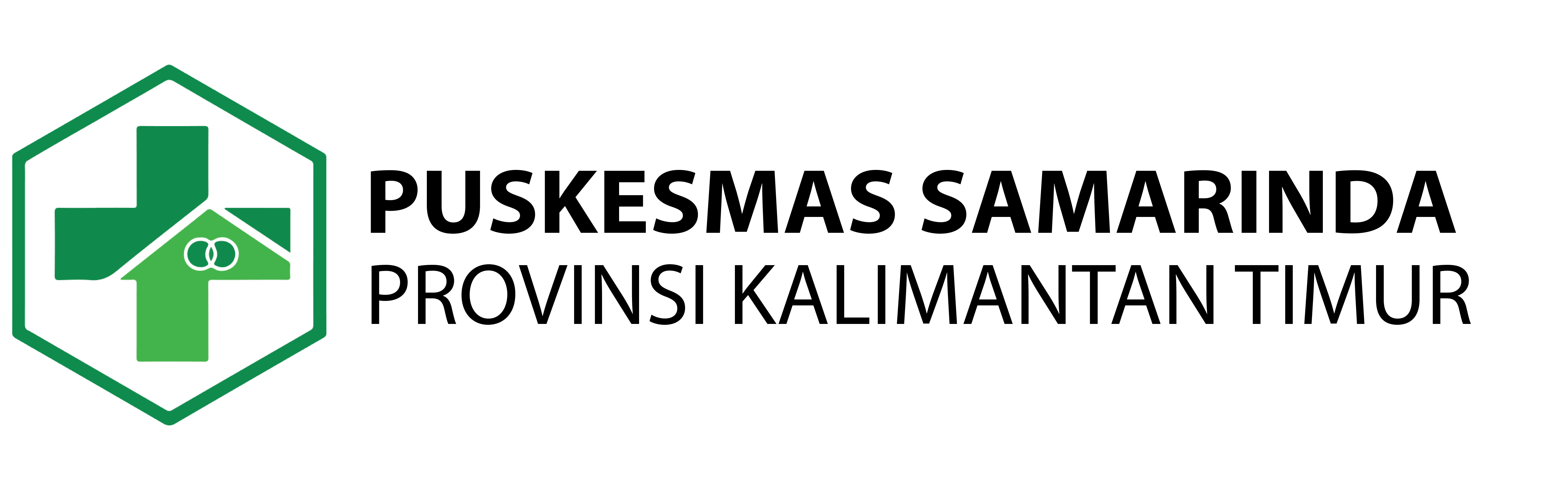 Logo Puskesmas